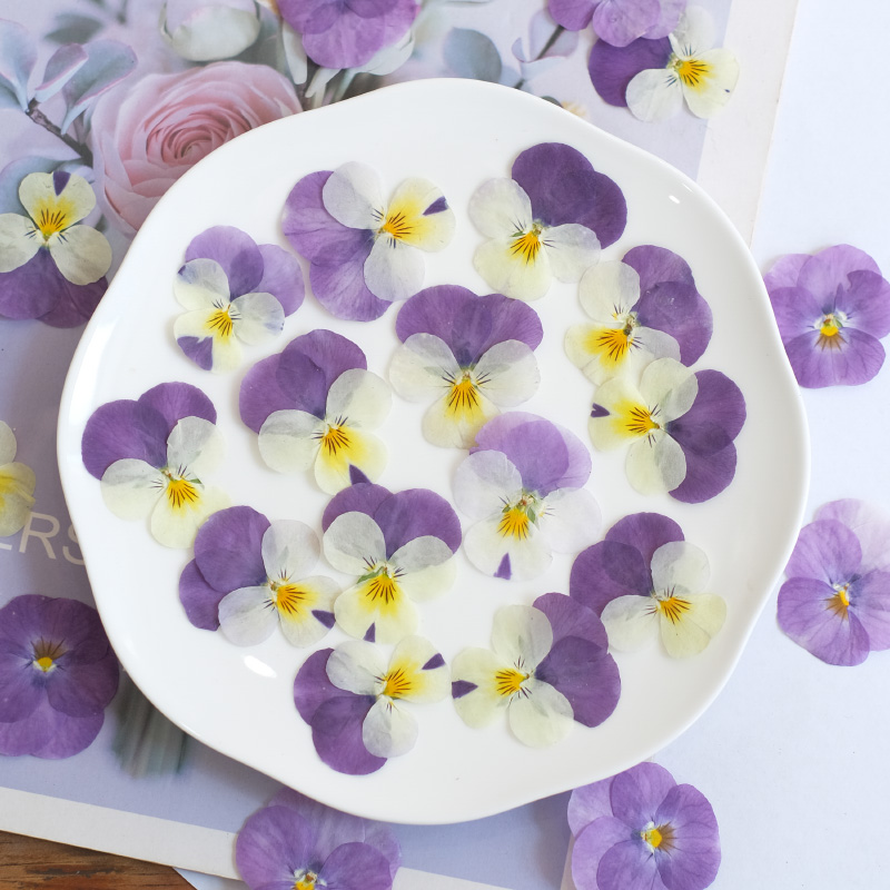 12 pièces, nature pensée fleur - Photo Beauty Makeup avis et prix